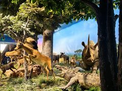 -国家自然博物馆