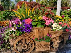 -狼山风景名胜区