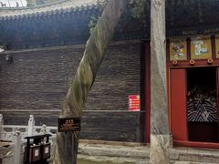 -关林
