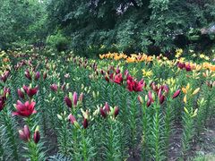 -长春公园(普阳街道)