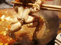 -老天桥蛙炉火锅(姑苏总店)