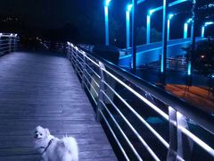 -阳澄湖中路(地铁站)