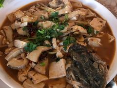 红烧狗鱼-煲来饱去冷水鱼