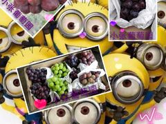 -马陆小张葡萄园农家乐