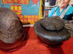 -吉祥圣雪藏餐