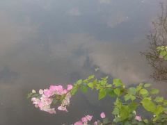 -广东外语外贸大学(白云山校区)