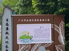 -广州市流溪河国家森林公园