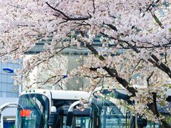 -上海南浦大桥长途旅游客运站
