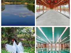 -福建鲤鱼洲酒店