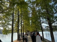 -湖南烈士公园-停车场