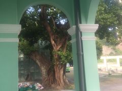 -龙环葡韵住宅式博物馆