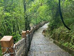 -广州白江湖森林公园