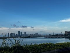 -万绿园