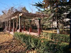 -山东大学(千佛山校区)