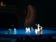 -珠海横琴长隆《卡卡虎奇遇记》