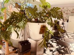 -一尺花园(安和花园店)