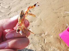 -南澳海滩