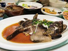 -开海·红岛海鲜虾水饺(石老人店)