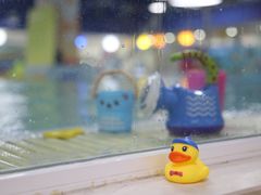 -乐游宝宝亲子游泳(徐汇中心)