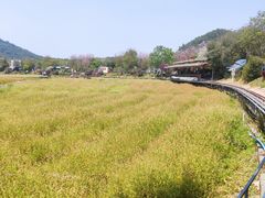 -红山村