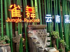 -雀舞云南菜(天津天河城购物中心店)