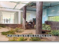 -安吉竹博园