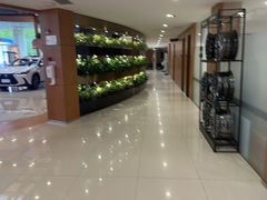 -上海东昌雷克萨斯(沪南路店)
