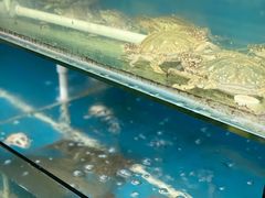 -钱山海鲜大排档