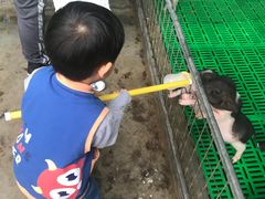 -史努比缤纷世界