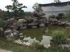 -呼吸森林·生态农庄农家乐私房菜