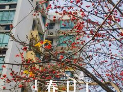 -深圳国际园林花卉博览园