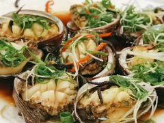 清蒸鲍鱼-四海之家(蛇口店)