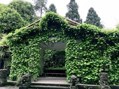 -南山植物园