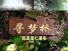 -海南霸王岭国家森林公园