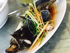 石斑鱼-岛中岛·海鲜大排档·万宁老字号(东澳店)