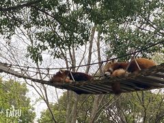 -上海野生动物园