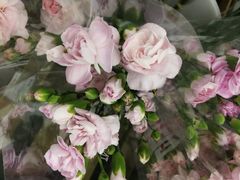 -鹿岛会员店 (龙湖三千集天街店)