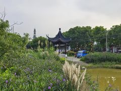 -莲花岛景区