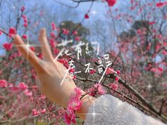 -南京珍珠泉风景区