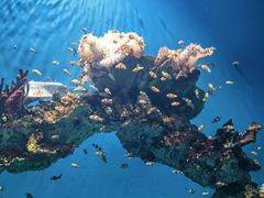 -海合安武汉极地海洋公园