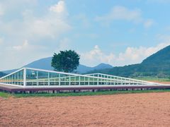 -风云岭森林公园