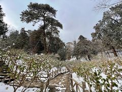 -香山公园