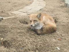 -无锡动物园·太湖欢乐园