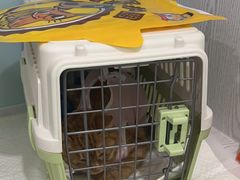 -纳吉亚猫专科动物医院·北北分院