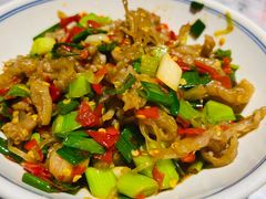 鸭掌筋-壹盏灯(蚂蚁工房店)