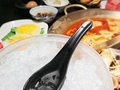 -九鼎轩脆毛肚火锅(南京东路店)