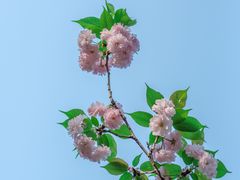 -重庆平顶山公园