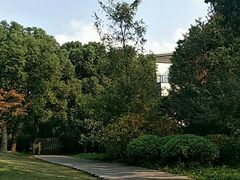 -新江湾城公园