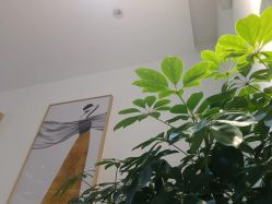 -橘西产后康复中心