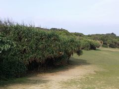 -鹅銮鼻灯塔